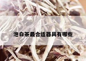 泡白茶最合适器具有哪些