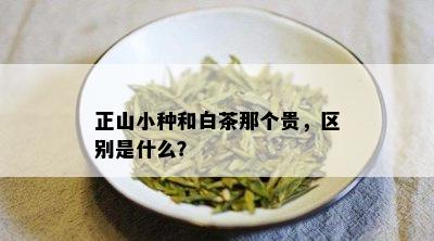 正山小种和白茶那个贵，区别是什么？