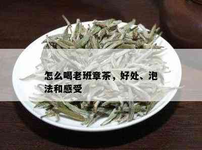 怎么喝老班章茶，好处、泡法和感受