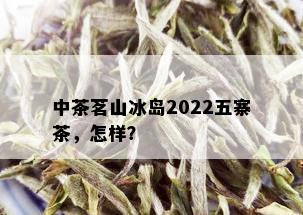 中茶茗山冰岛2022五寨茶，怎样？