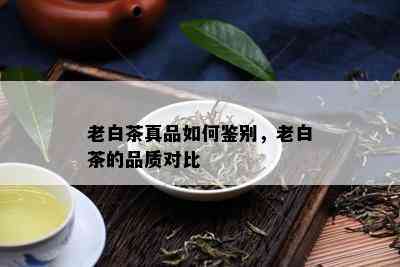 老白茶真品如何鉴别，老白茶的品质对比