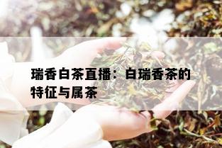 瑞香白茶直播：白瑞香茶的特征与属茶