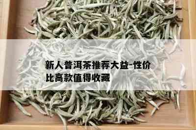 新人普洱茶推荐大益-性价比高款值得收藏