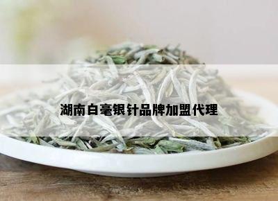 湖南白毫银针品牌加盟代理