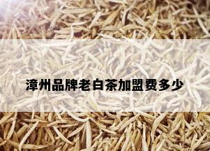 漳州品牌老白茶加盟费多少