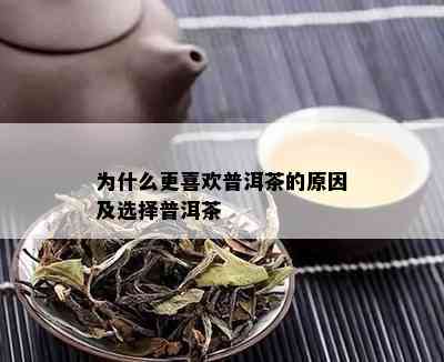 为什么更喜欢普洱茶的原因及选择普洱茶