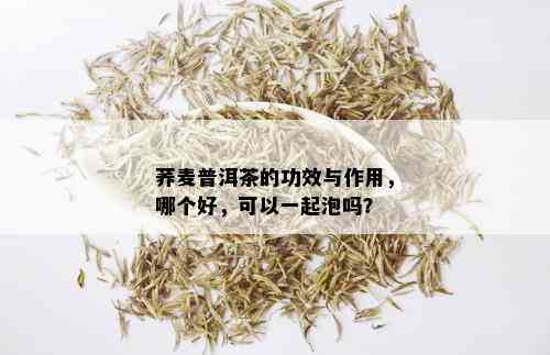 荞麦普洱茶的功效与作用，哪个好，可以一起泡吗？