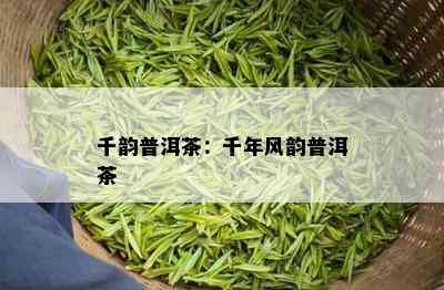 千韵普洱茶：千年风韵普洱茶