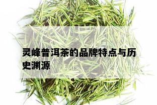 灵峰普洱茶的品牌特点与历史渊源