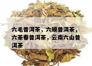 六毛普洱茶，六顺普洱茶，六茶春普洱茶，云南六山普洱茶