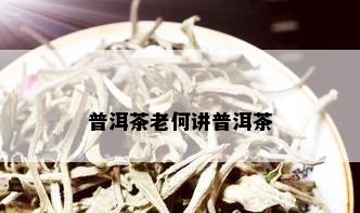 普洱茶老何讲普洱茶