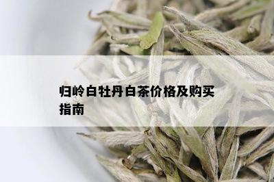 归岭白牡丹白茶价格及购买指南