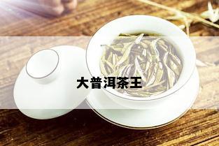 大普洱茶王