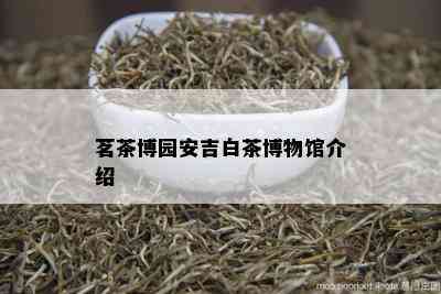 茗茶博园安吉白茶博物馆介绍