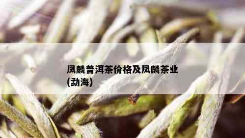 凤麟普洱茶价格及凤麟茶业(勐海)