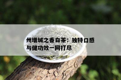 州增城之香白茶：独特口感与健功效一网打尽