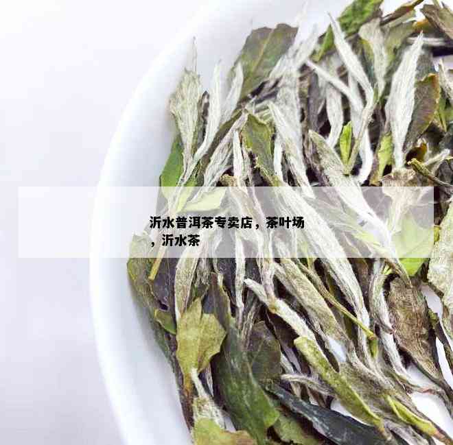 沂水普洱茶专卖店，茶叶场，沂水茶