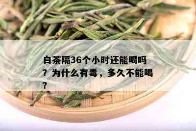 白茶隔36个小时还能喝吗？为什么有，多久不能喝？