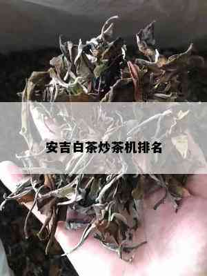 安吉白茶炒茶机排名