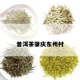 普洱茶肇庆东州村