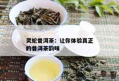 灵蛇普洱茶：让你体验真正的普洱茶韵味