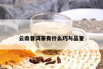 云南普洱茶有什么巧与品鉴