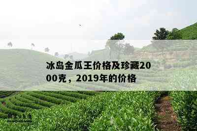 冰岛金瓜王价格及珍藏2000克，2019年的价格