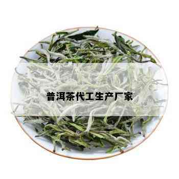 普洱茶代工生产厂家