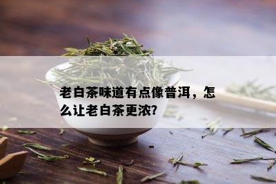 老白茶味道有点像普洱，怎么让老白茶更浓？