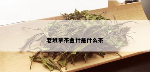 老班章茶金针是什么茶