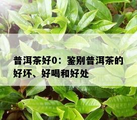 普洱茶好0：鉴别普洱茶的好坏、好喝和好处