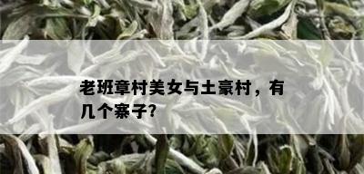 老班章村美女与土豪村，有几个寨子？