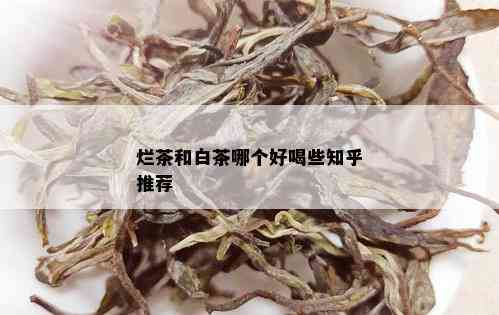 烂茶和白茶哪个好喝些知乎推荐