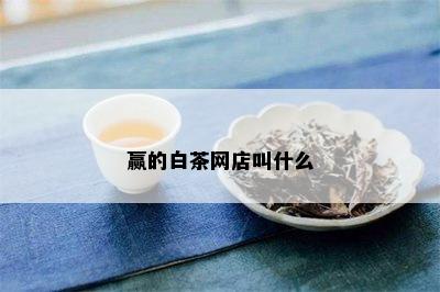 赢的白茶网店叫什么