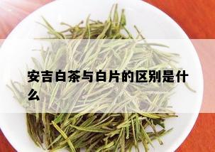 安吉白茶与白片的区别是什么