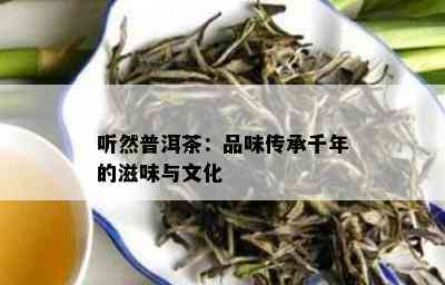 听然普洱茶：品味传承千年的滋味与文化