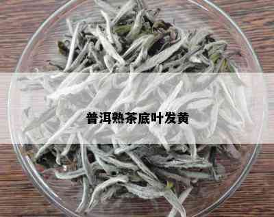 普洱熟茶底叶发黄