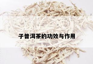 子普洱茶的功效与作用