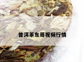 普洱茶东哥视频行情