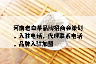 河南老白茶品牌招商会策划，入驻电话，代理联系电话，品牌入驻加盟