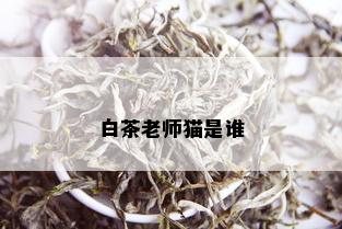 白茶老师猫是谁