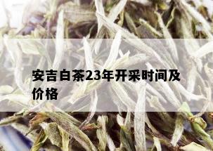 安吉白茶23年开采时间及价格