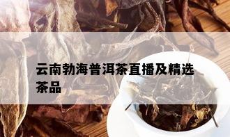 云南勃海普洱茶直播及精选茶品