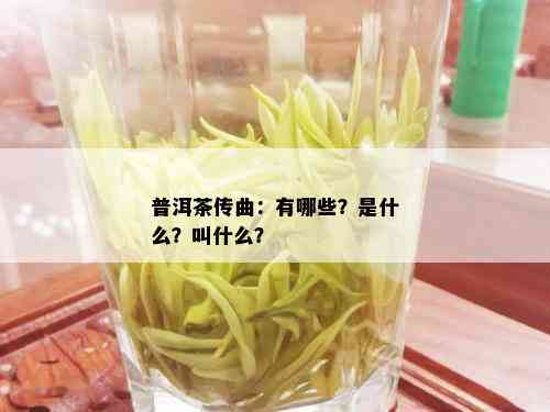 普洱茶传曲：有哪些？是什么？叫什么？