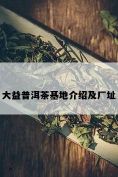 大益普洱茶基地介绍及厂址