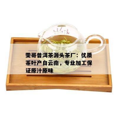 雯哥普洱茶源头茶厂：优质茶叶产自云南，专业加工保证原汁原味