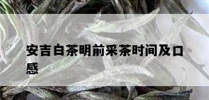 安吉白茶明前采茶时间及口感