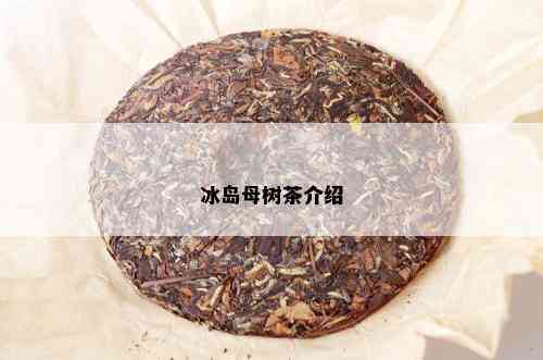 冰岛母树茶介绍