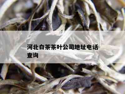 河北白茶茶叶公司地址电话查询