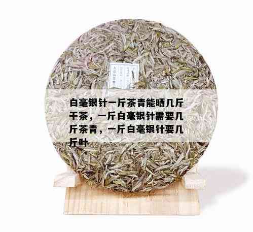 白毫银针一斤茶青能晒几斤干茶，一斤白毫银针需要几斤茶青，一斤白毫银针要几斤叶